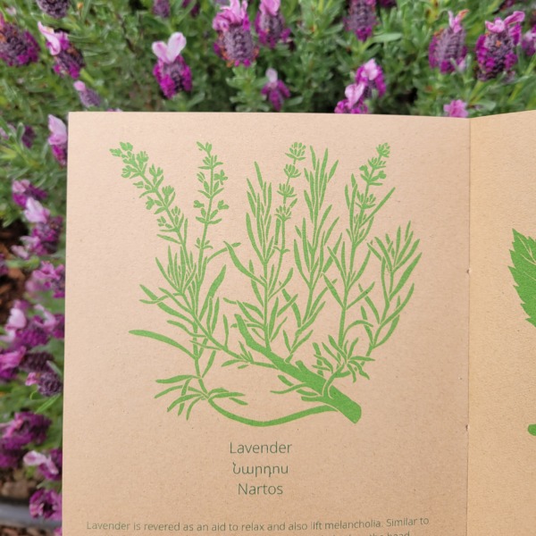 Pouys zine
