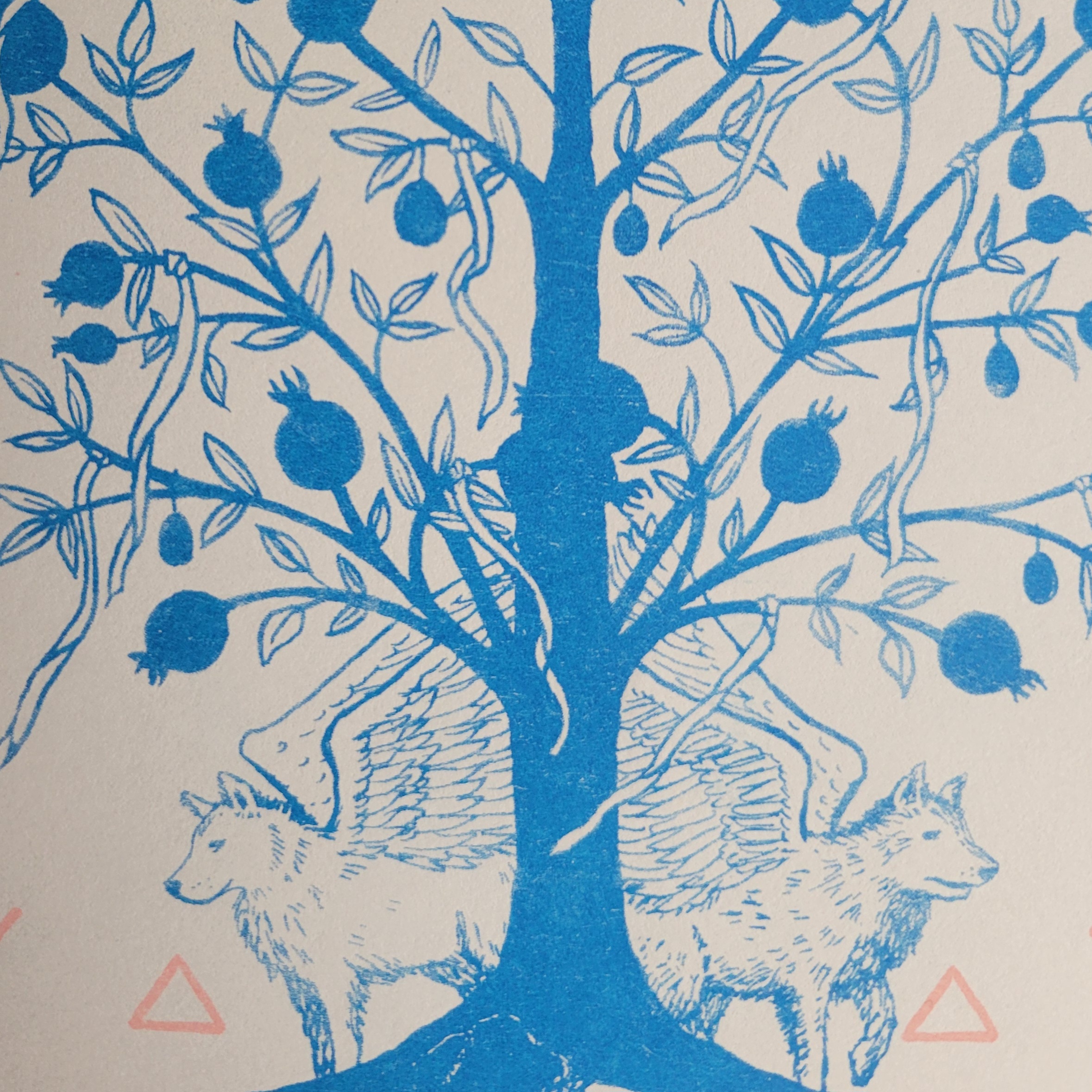 Ancient Fires // Future Waters zine - Image 7