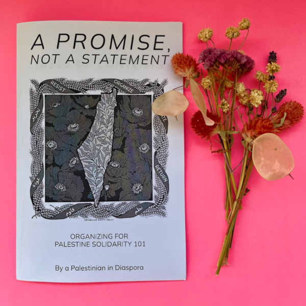 101 Guide To Palestine Solidarity Organizing – A Promise Not A Statement free printable download